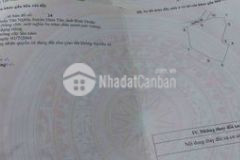 Tân nghĩa diện tích mi ni giá 800 triệu