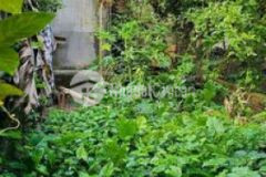 Đất đẹp bắc cầu giá rẻ hà nội