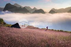 Đất nền hà giang. đất f0, tiềm năng sinh lời cao, đi trước đón đầu.