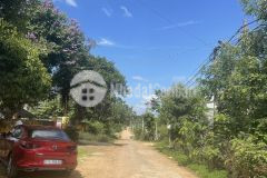 Bán 3 lô liền kề giá đầu tư ô bàn cờ quỳnh ngọc eana huyện krong ana 420 triệulô