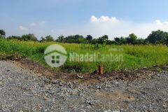 2040m2 đất thổ vườn view kênh siêu đẹp 1.85 tỷ