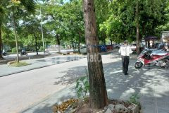 Bán nhà, mặt phố tố hữu, vạn phúc, vp, ở, kd đỉnh, 60m, 6t, xíu 12 tỷ.