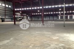 Bán đất nhà xưởng hướng thọ phú, tân an, long an. dt đất 7ha, giá 200 tỷ