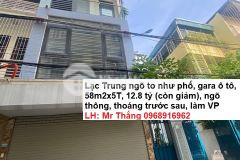 Bán nhà lạc trung gara ô tô 58m2x5t 12.8 tỷ thoáng trước sau ngõ to như phố 0968916962