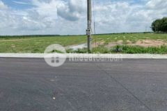 Ket tiên cần ra gâp đât vươn nha