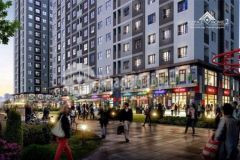 Bán duplex tầng trệt 113m2 topaz home 2 quận 9