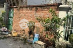 Đất thô cư sô hông riêng