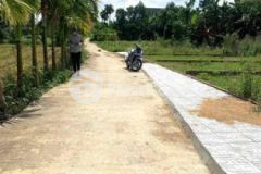 Điện thắng 2 lô liền kề view đồng làm nhà vườn