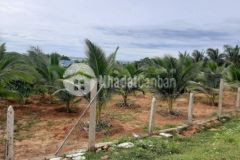 Bán đất tt ma lâm gần nút xuống cao tốc 350trthửa