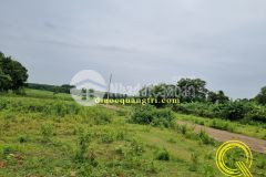 Mặt tiền nguyễn tri phươngcam lộ8xxtr