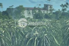 Đất thị trấn lương sơn, ngay quốc lộ 1a, cao tốc, ubnd huyện bắc bình