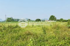 Bán gấp lô đất có dt 3000m2 có 544m2 tc nằm trong khu vực nhiều homestay nhất huyện