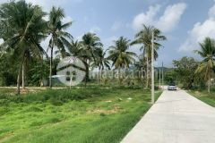 Ban đât nên biêt thư đao ngoc phu quôc