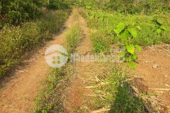 Hàng siêu hiếm tại đắk lắk, giá rẻ chỉ 350tr xã eamdroh, h. cưmgar, daklak