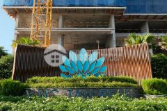 Rổ hàng sang nhượng vũng tàu pearl giá chênh tốt hỗ trợ tận tâm. lh 0908623013 thảo