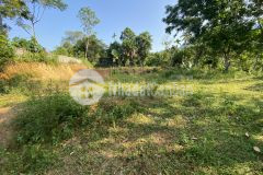 Bán gấp lô đất có dt 1500m2 cách cổng chính serena có 500m, giá chỉ 1,x tỷ