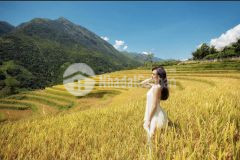 Đón sóng sân bay sapa, bán mảnh đất 1300m2 mt 30m. giá hơn 1trm2 view săn mây cực đẹp.