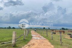 Bán 2726m2 đất hàm thuận bắc cách ql1a 650m đối diện safari chỉ 763tr có đường hiện hữu