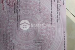 Mặt tiền đường 872b gò công tây