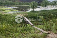 Bán 1018m2 có 130m2 đất ở đường ô tô tại hoà phong