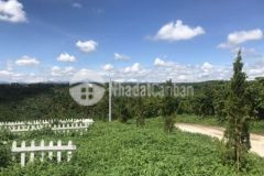 Đất qh thổ cư bán 1sao3 mặt tiền đường dân sinh