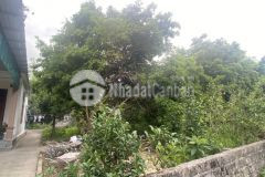 Bán đất nền vân đồn đón sóng cao tốc vân đồn móng cái.