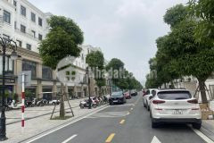 Bán biệt thự hải âu diện tích 150m2x4t mặt tiền 8.3 mét giá chào chỉ 31 tỷ