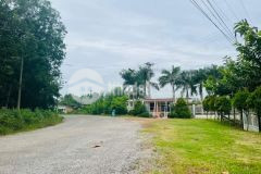 Chủ kẹt tiền, gửi em lô đất dt 6x4580tc, sổ hồng riêng, đường nhựa thông, dân đông.