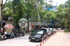 Vườn hoa trần quang diệu, lô góc 3 thoáng, ô tô tránhdt 100m2, 4 tầng, mt 6m, 22.5 tỷ