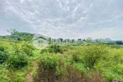 Bán gấp lô đất có dt 1308m2 full thổ cư giá chỉ 1,x tỷ cực rẻ