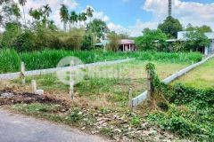 Chủ ngợp gửi lô đất thổ cư xã phước hiệp, 195m2 full thổ giá 1ty9, sổ hồng riêng.