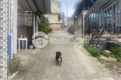 Nha phô ngay trung tâm sô riêng đương ô tô gia 4 ty 9