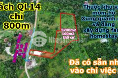 Đất thổ cư 5200m2, khu vực đảo, cách quốc lộ 14 chỉ 1km tại thôn 5 nhân cơ tỉnh đắk nông
