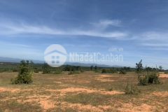 Bán 11,093m2 đất sào phan thanh vuông 2 mặt tiền kênh nước và đường đất gần ql1a lh 0919 626 750