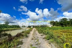 Lâm lang,kiệt xuyên á, cam thủy, cam lộ, 7xx