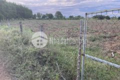 Bán 5458m2 đất sào hàm thuận bắc cách safari và ubnd hồng liêm 1km chỉ 250km2 lh 0938677909 hiền