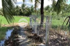 Bán mảnh đất vườn dừa xã thạnh nhựt gct tg