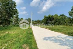 Ban đât nên biêt thư sô đo chinh chu