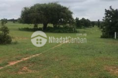 8500m2 đất cây lâu năm cạnh bên safari rạng đông, đường đất 6m ngay khu dân cư giá 1.23 tỷ