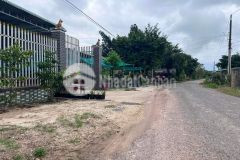 Tây ninh đường nhựadt796,giá chốt 495tr hổ trợ 250tr