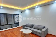 Bán gấp nhà nhân hòa, thanh xuân, 40mx5t, mt 5m, ô tô, kd, nhỉnh 7 tỷ.