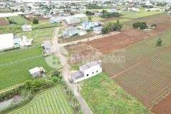 Bán lô đất 133.3m2 full thổ cư tại thị trấn liên nghĩa, đức trọng giá 1 tỷ 700