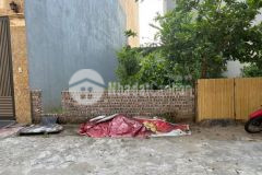 Bán đất mặt tiền 11m thạch bàn long biên phân lô vỉa hè 2 ô tô tránh 217m2