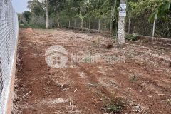 Bán gấp lô đất 10m x 30m tc 100m đường nhựa 8m ô bàn cờ.cách y wang 100m xã eakao,tp.bmt