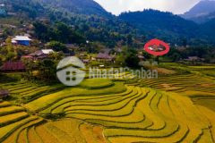 Đất nền tả phìn, đón sóng quy hoạch xây dựng cơ sở hạ tầng