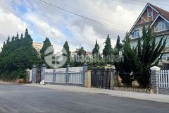 Bán gấp lô đất đường trần quý cáp diện tích 404m2