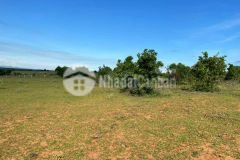 Bán 8461m2 đất sào cách bình sơn farm 400m và ql1a 1,9km gần safari 140km2. lh zalo