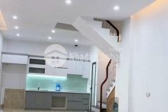 Diện tích to huỳnh tấn phát, tân thuận tây, quận 7, cho thuê 10 trtháng, nhỉnh 4 tỷ