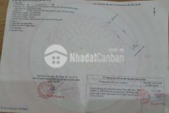 Bán đất khu tđc đông hải