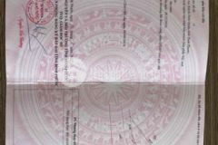 Chính chủ 1650m 32m mặt đường view suối hồ sinthái